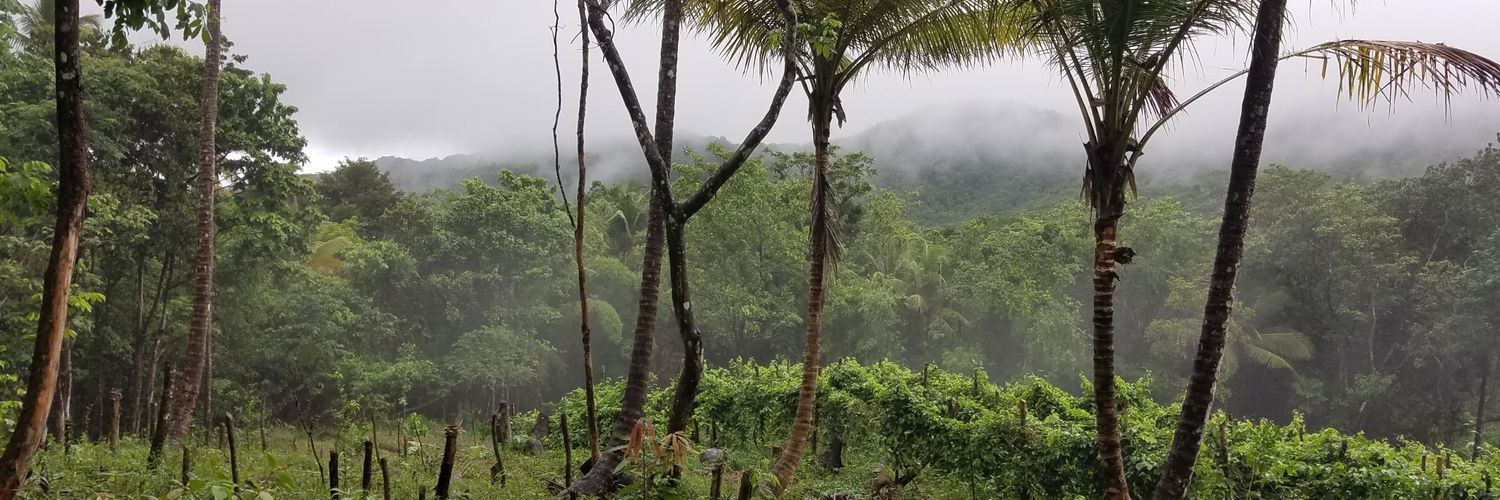 __CeeJayPS's profile banner image