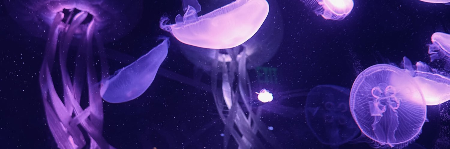 kevescaliente's profile banner image