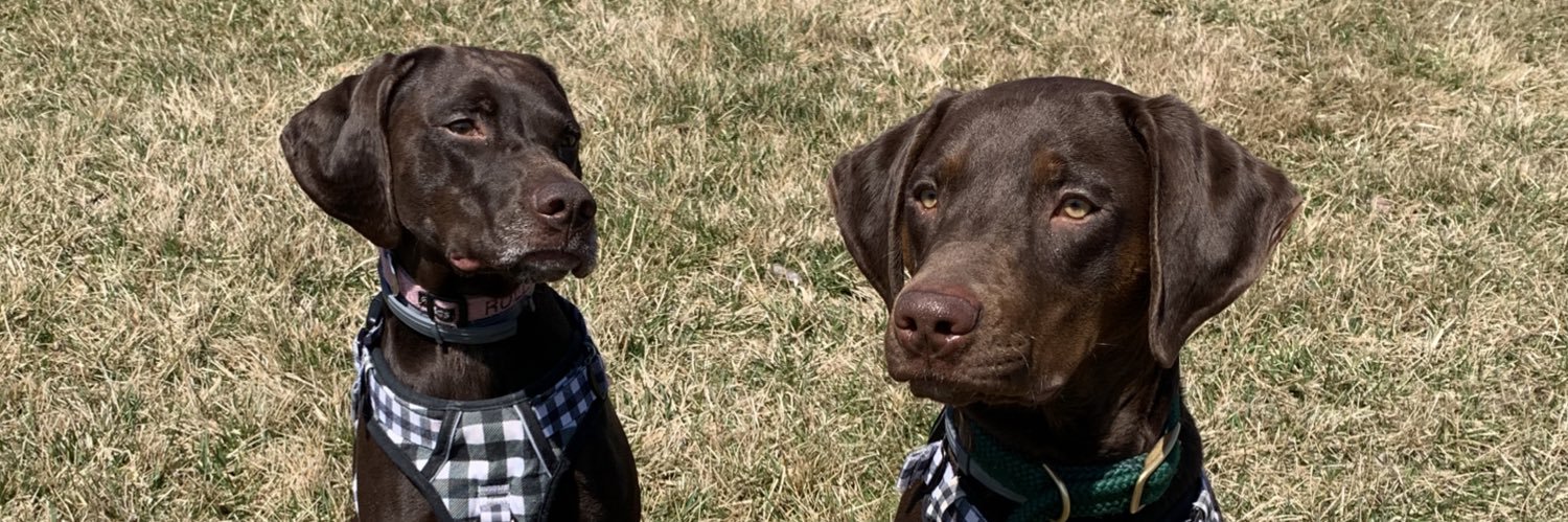PatSchultz_'s profile banner image