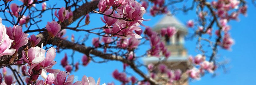 Central Methodist University banner
