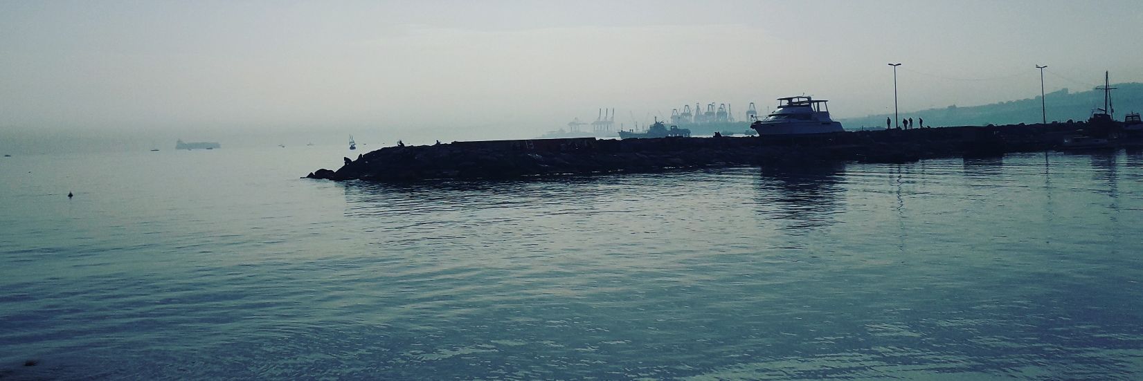 TRakyali_83's profile banner image
