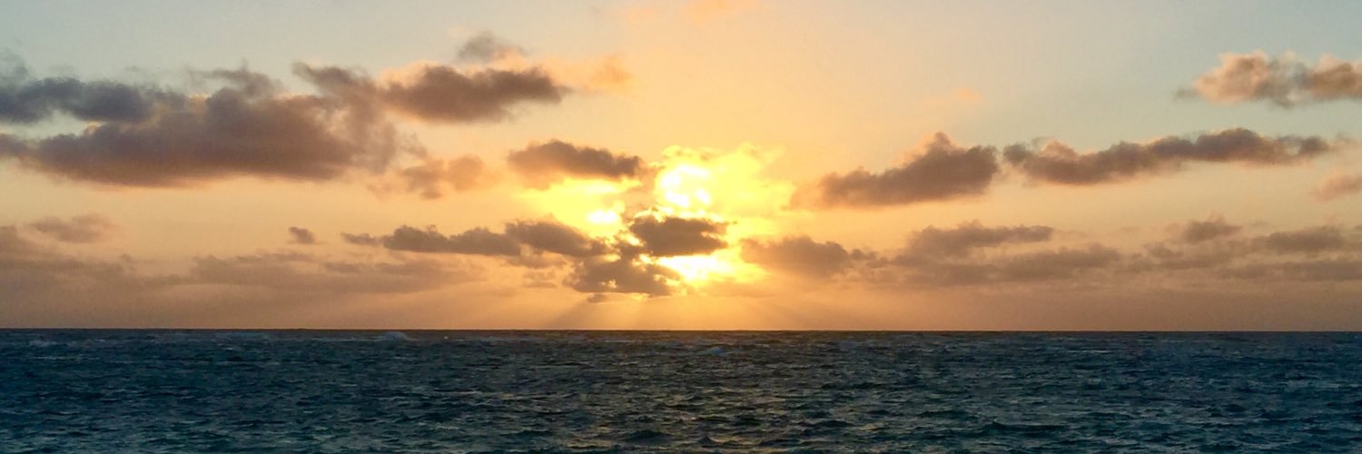 TomGreen__'s profile banner image