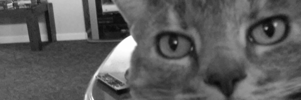 TheHoppaWatch's profile banner image