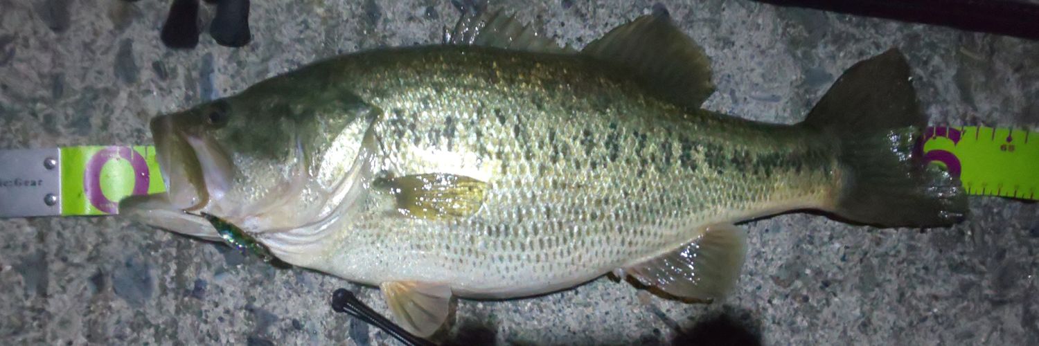 takumi(๑•̀ㅂ•́)و✧@だっち banner