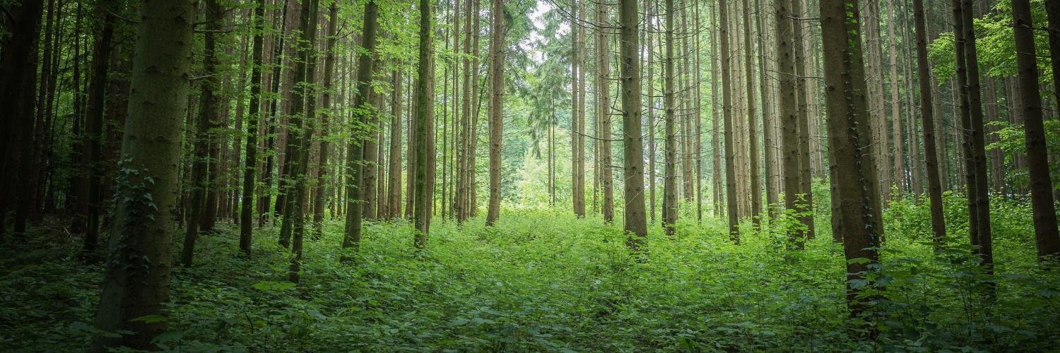 福島ぽんたりん🐾 banner