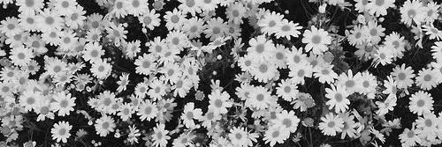 itsashgdrz's profile banner image