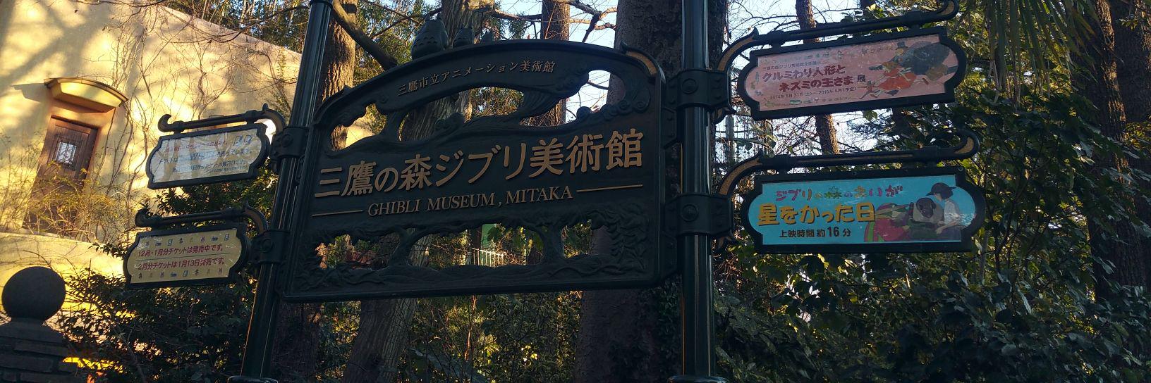 MsNgau's profile banner image