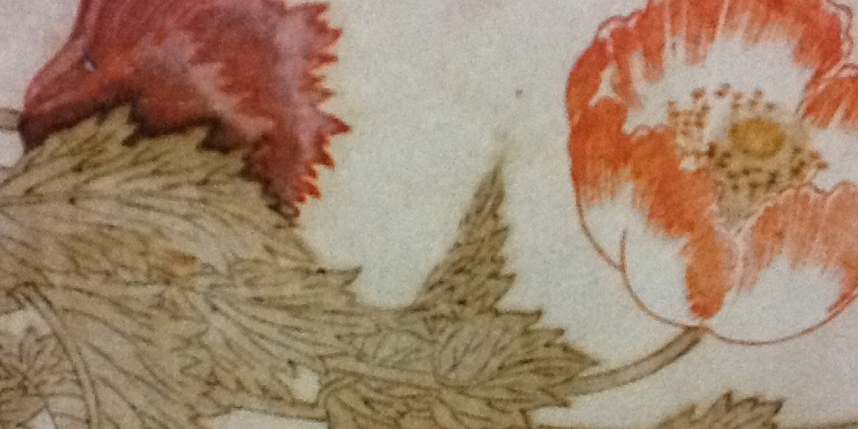 AnisetteNZ's profile banner image
