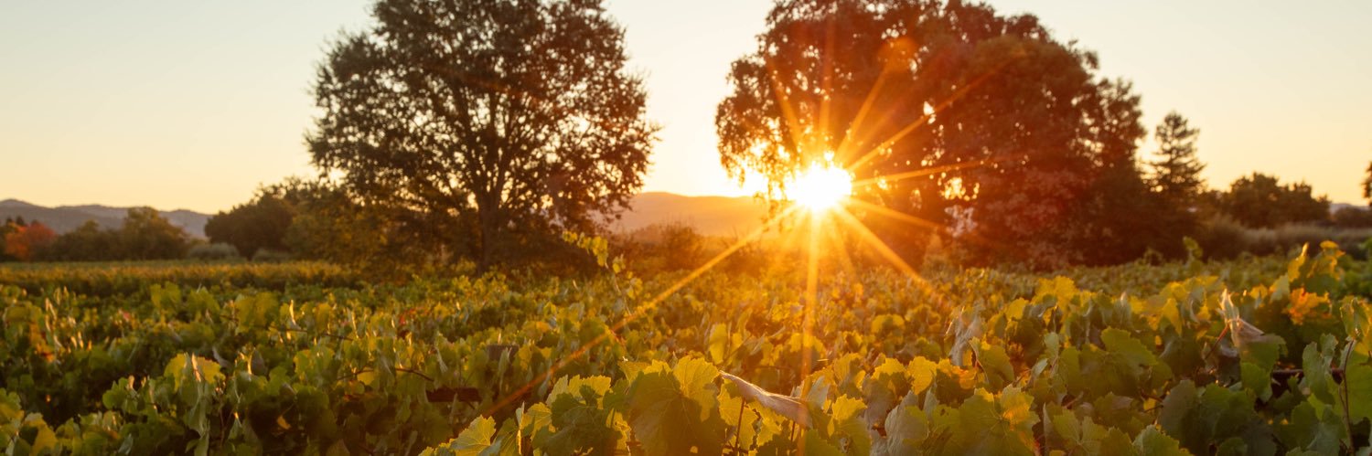 Flora Springs Winery banner