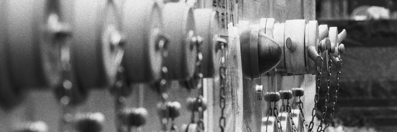 わかめさん🏳️‍🌈（偽痛風） banner