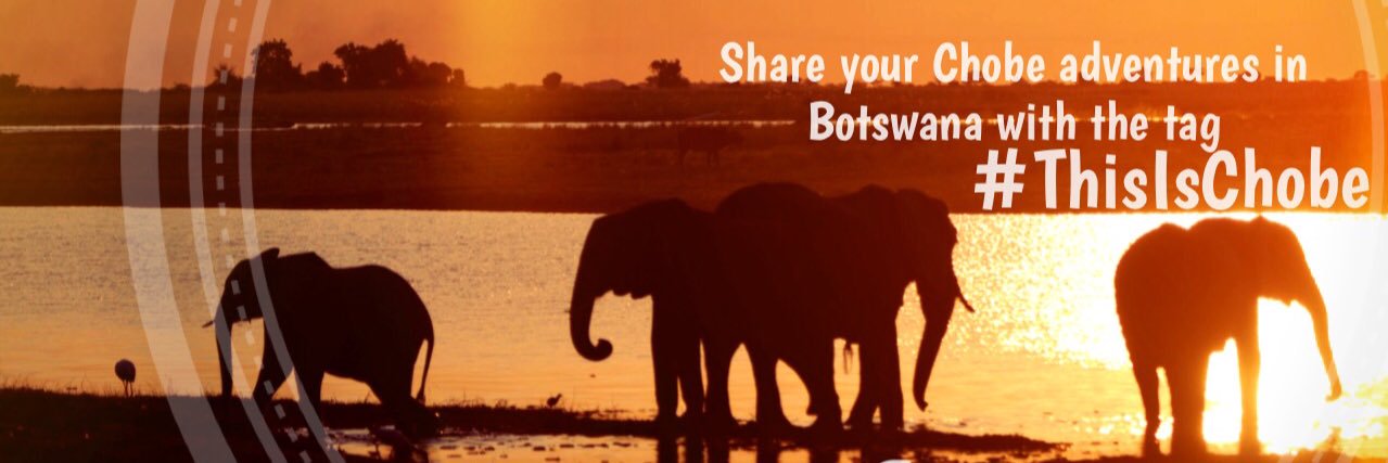 This is Chobe banner