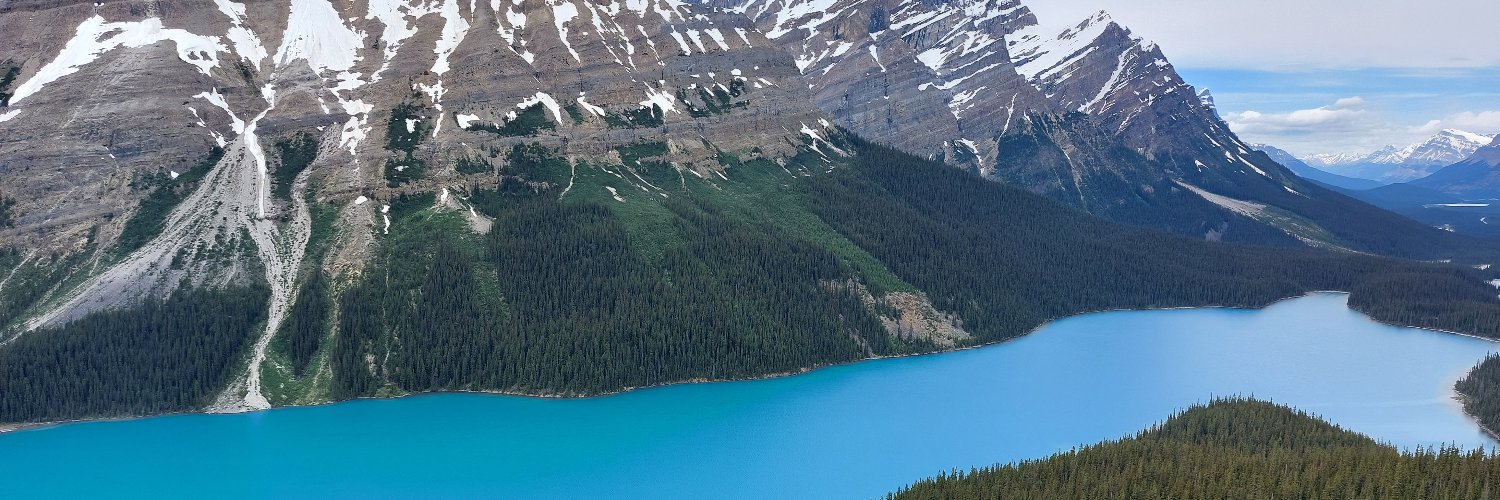 Peter McGregor banner