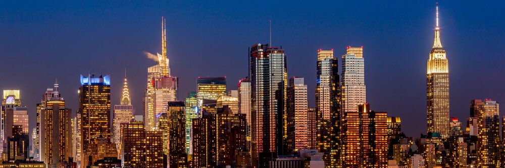 Dana Ettinger banner