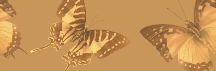 jojolovebbtg's profile banner image