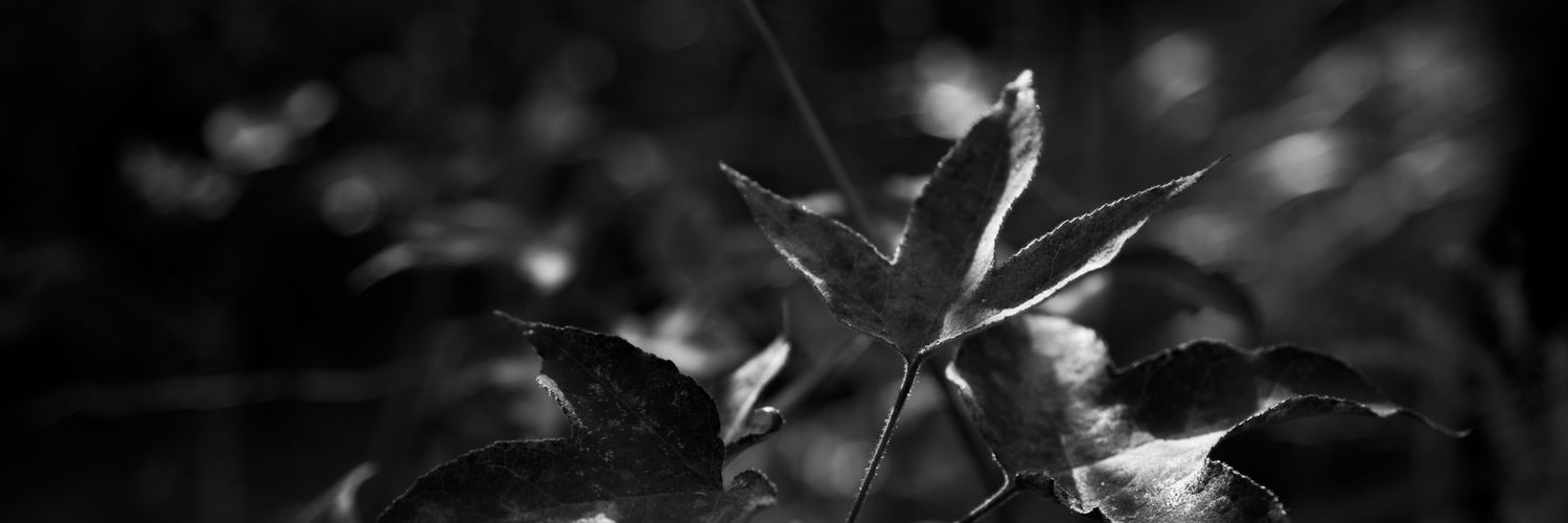 k37p15's profile banner image