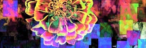 shannbmeyer's profile banner image