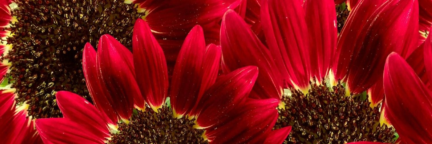 ukantfukwitme's profile banner image