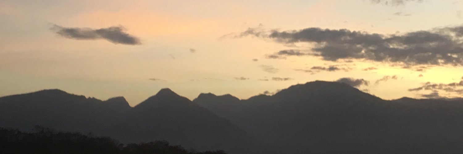 MidnightsNectar's profile banner image