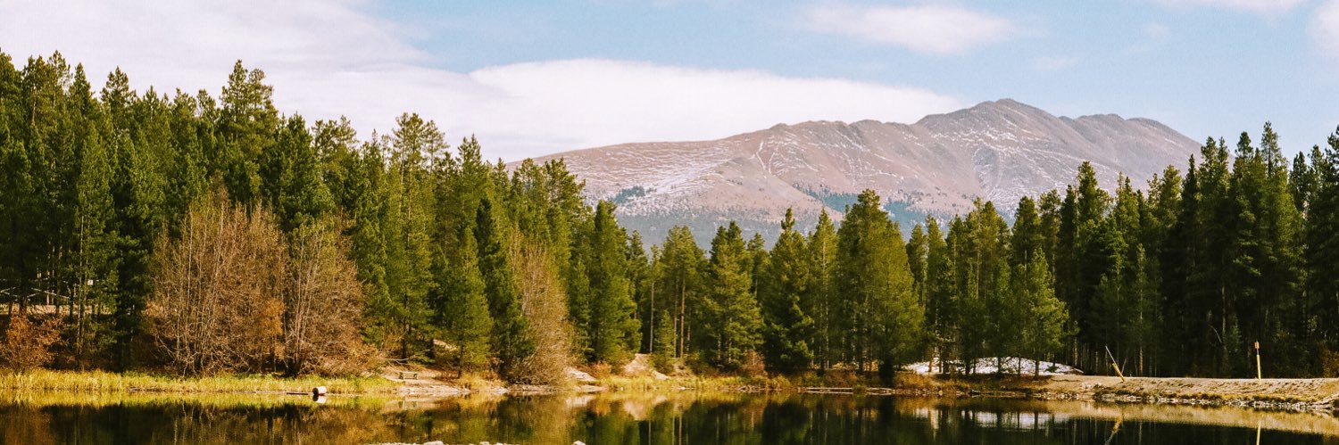 MadelinePoole's profile banner image