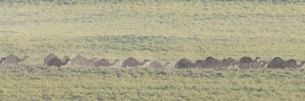 KxCampbell Profile Banner