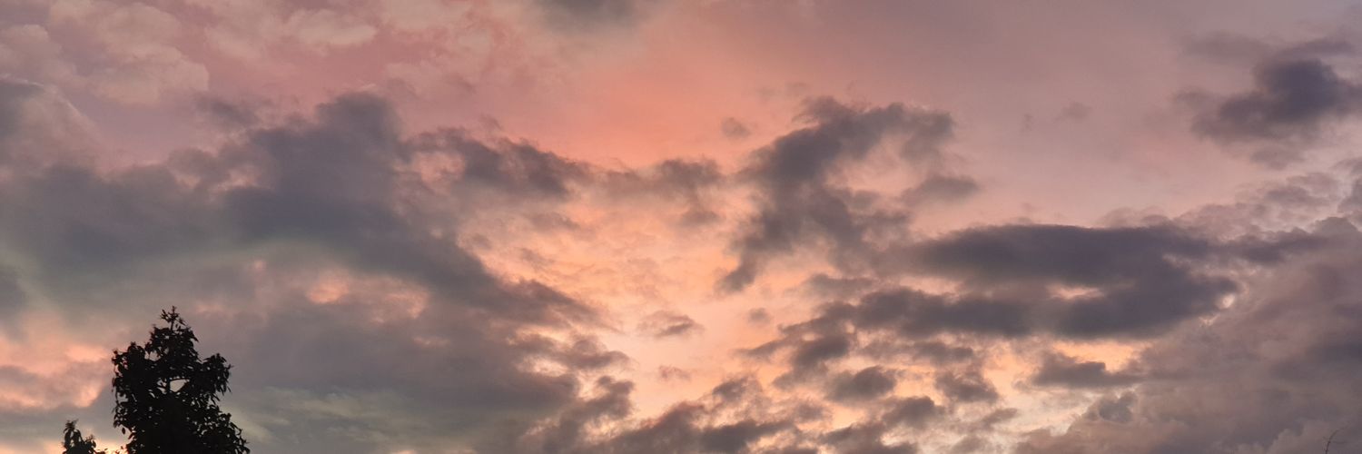 arlekingec's profile banner image