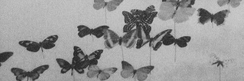 Becka banner