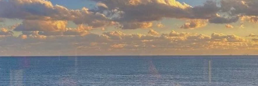 rmtruffy's profile banner image