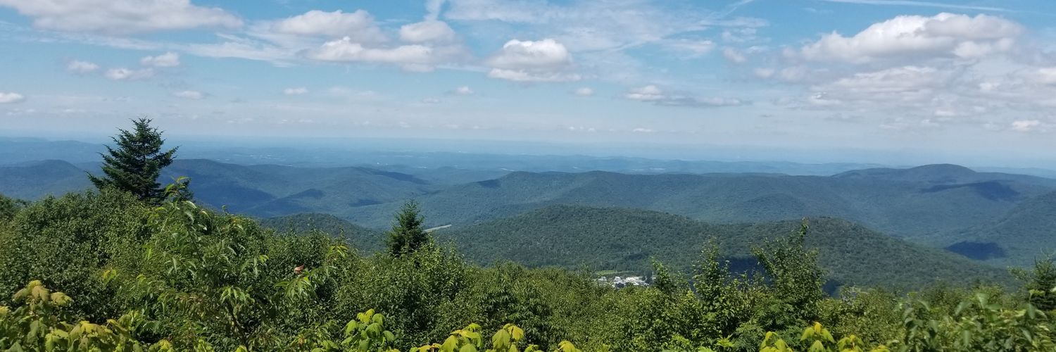 Mandee_Englert's profile banner image