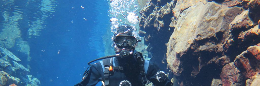 Patrick Wingrove banner