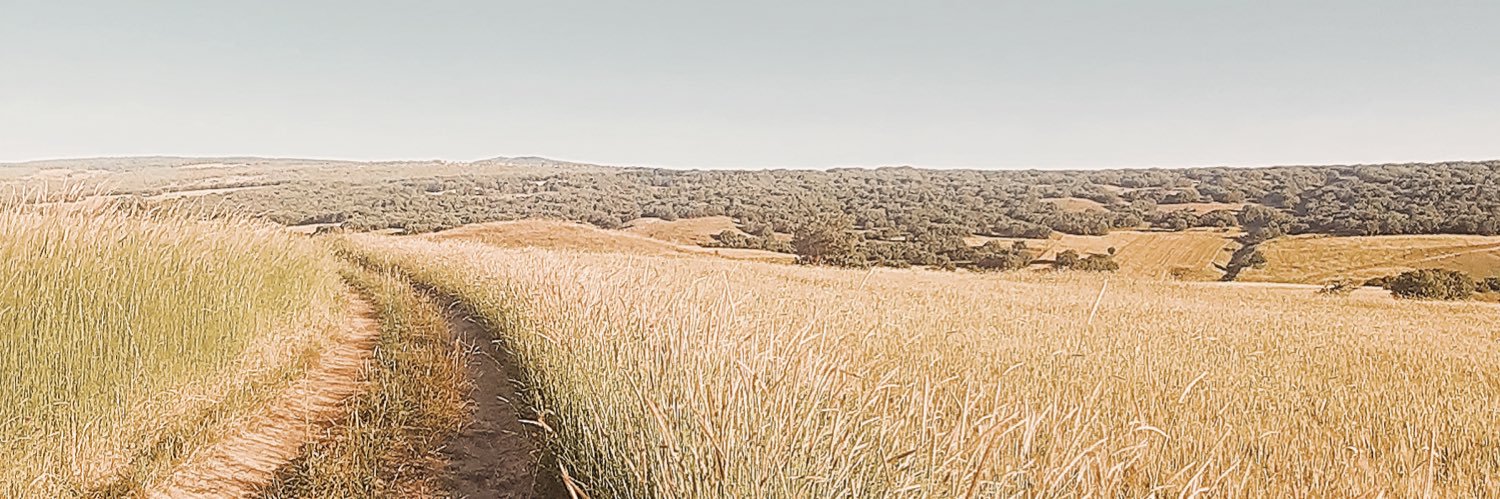 ertukoc's profile banner image