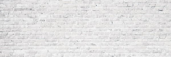 RoseLipton Profile Banner