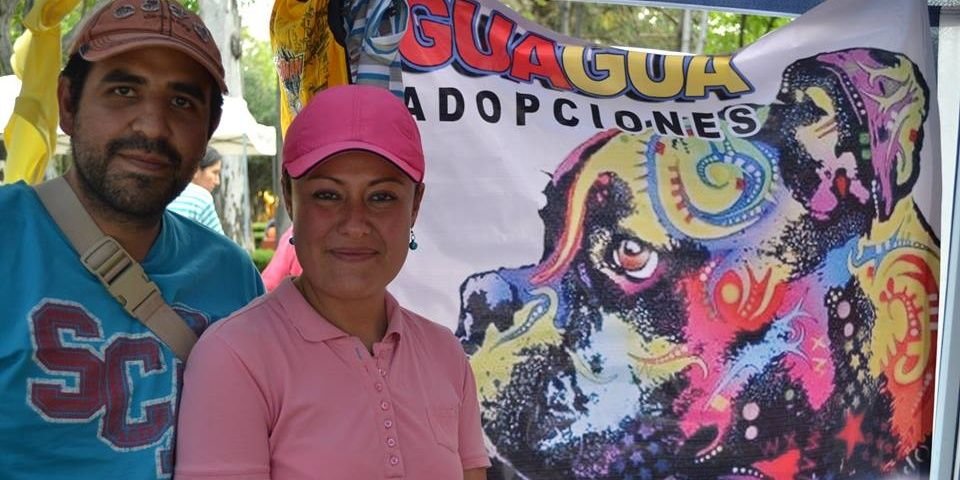 guaadopciones's profile banner image