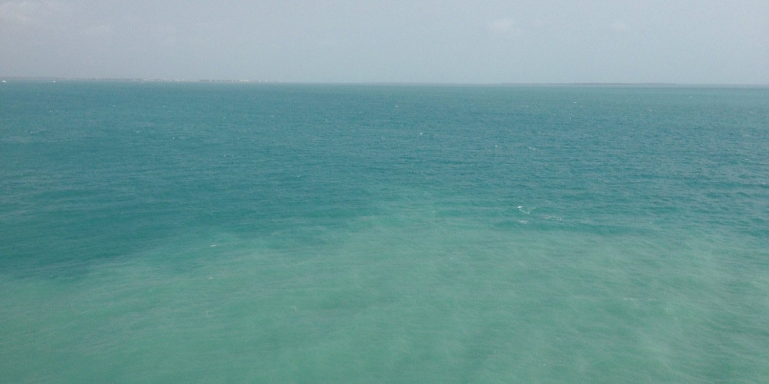 irenemichelles1's profile banner image