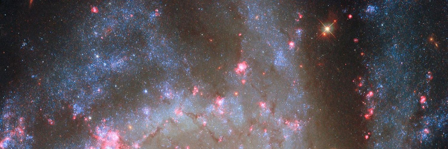 kestanl's profile banner image