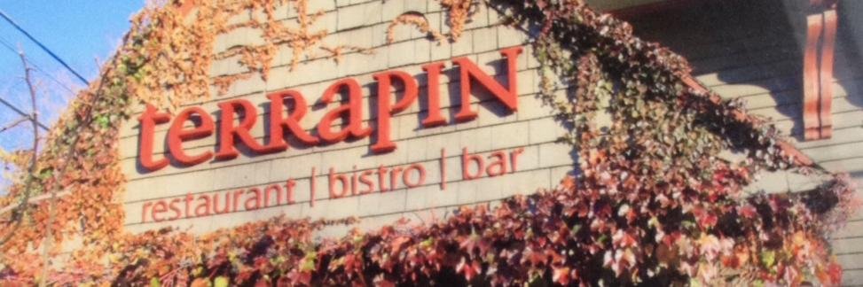 TerrapinTweet's profile banner image