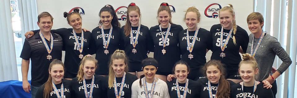 Forza1 Volleyball banner