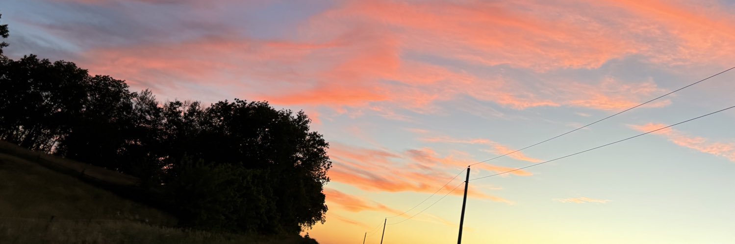 Madison_Reno14's profile banner image