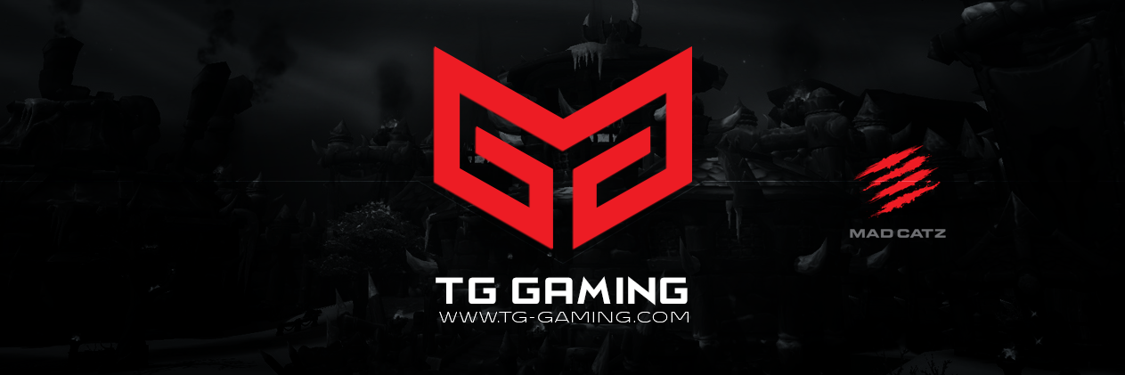 TG Gaming banner