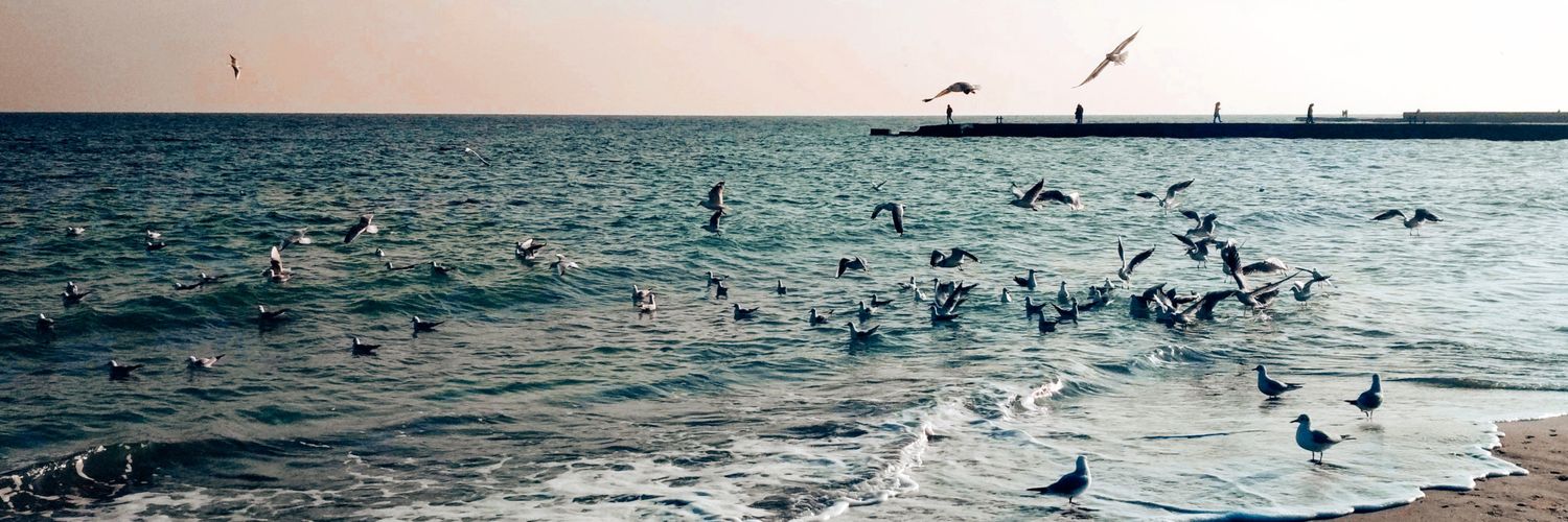 Амбасадорка Чорного моря 🌊's banner