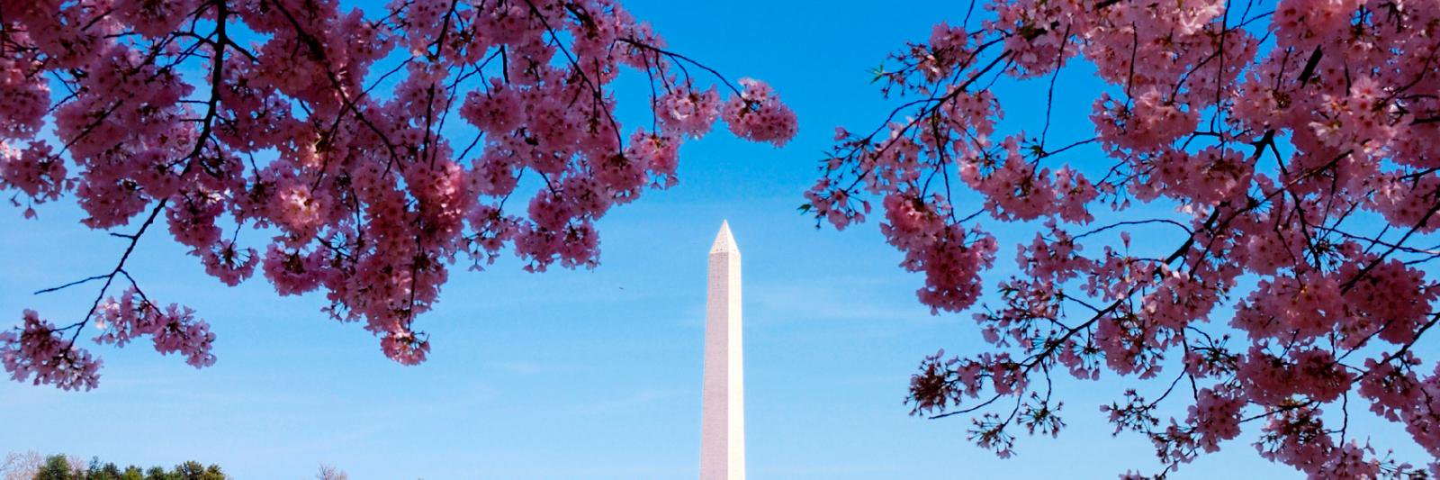 Westin_DC's profile banner image