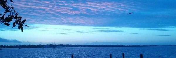 TMCmnagle Profile Banner