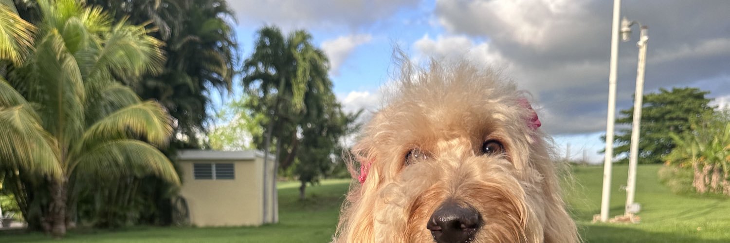 karnicole10's profile banner image