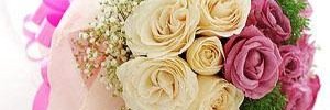 RianArmitaa's profile banner image