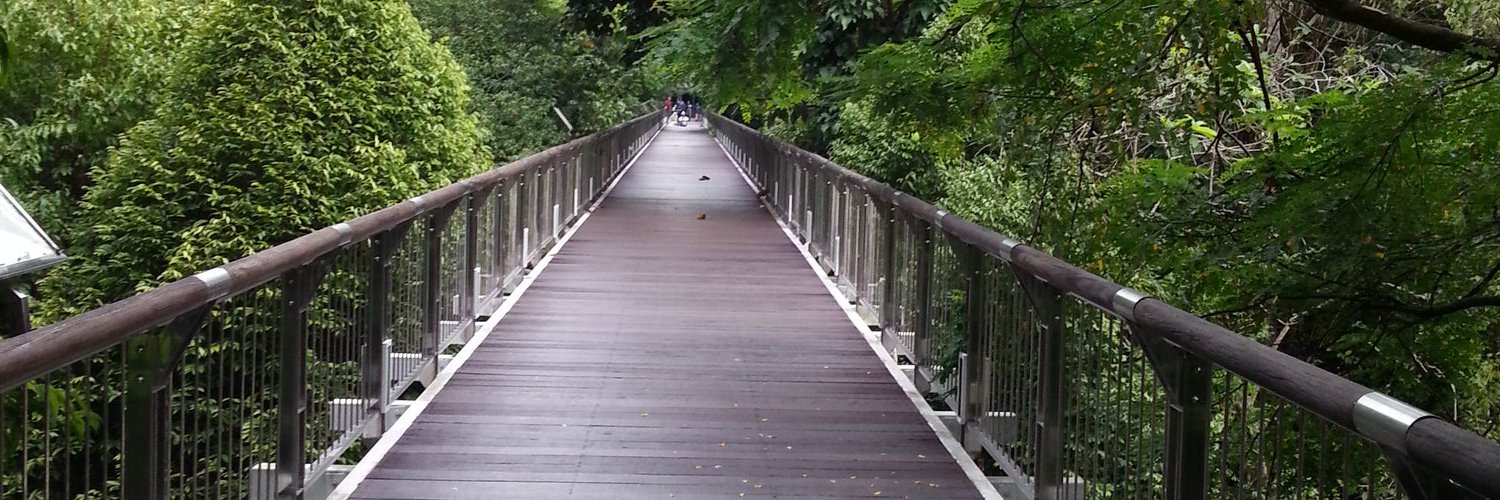 LinaShahabuddin's profile banner image