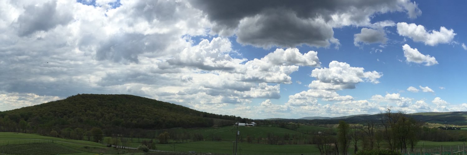 Hannah Prebeck (she/her) banner