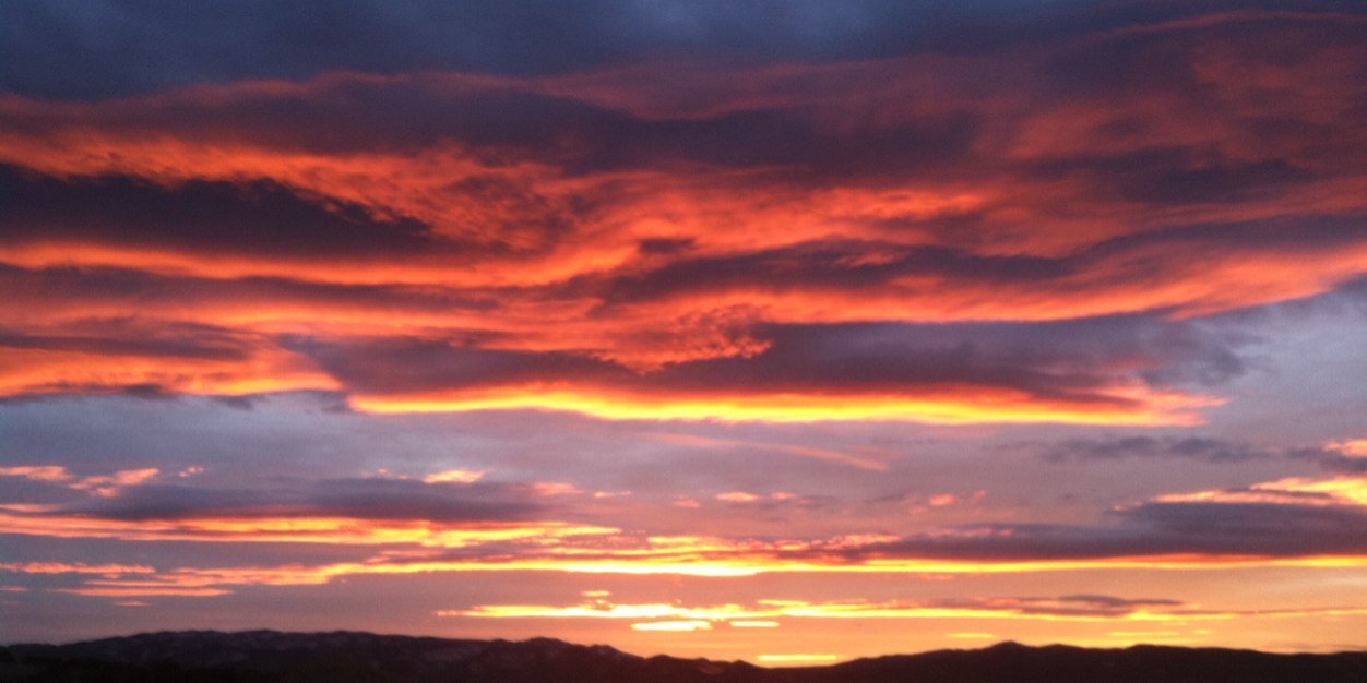 Brooke Cersosimo banner