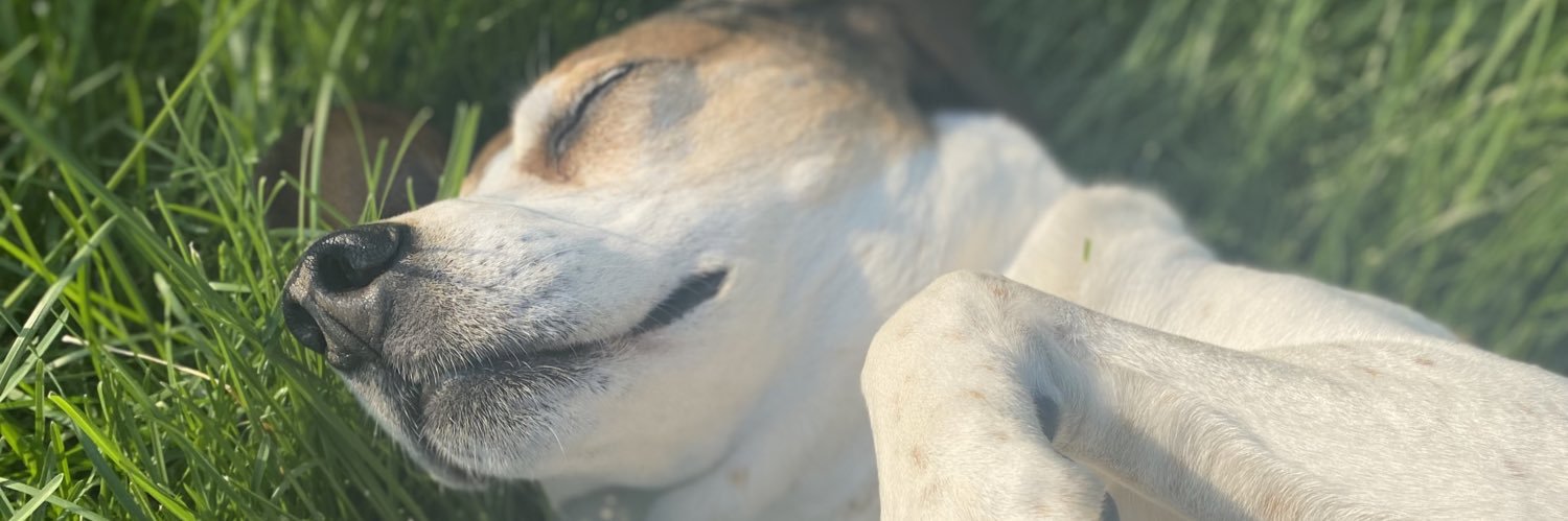 mrsemilybriane's profile banner image