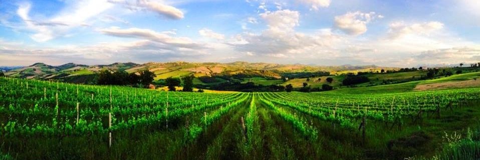 CantineSaputi's profile banner image