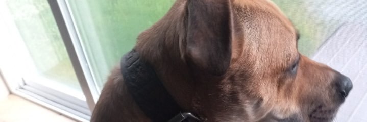 alr25698's profile banner image