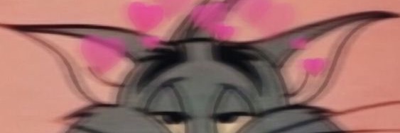JizelleSamson's profile banner image